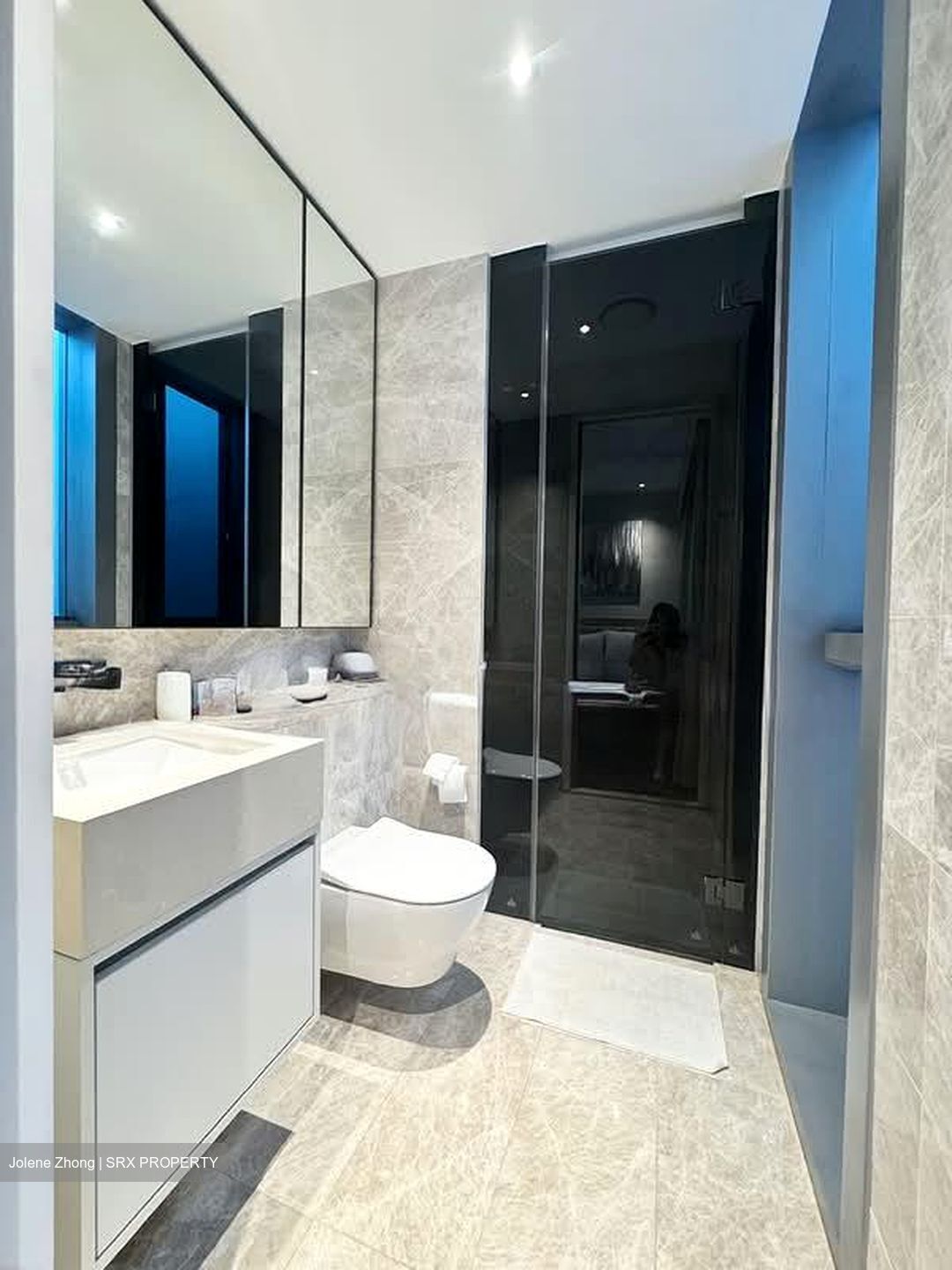 Amber Park (D15), Condominium #556618541